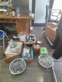  Đọc liều kế cho 1 năm đọc 4 lần theo Quý
