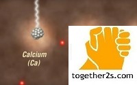 Lắp đặt nguồn phóng xạ Cf-252-together2s.com